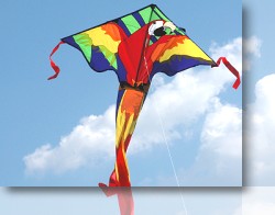 Macaw Kite